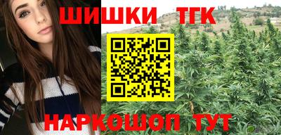 мдпв Жуковский