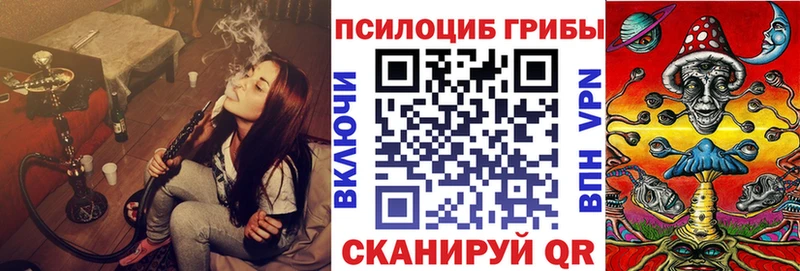 купить наркотики цена Шуя площадка Telegram Галлюциногенные грибы мицелий