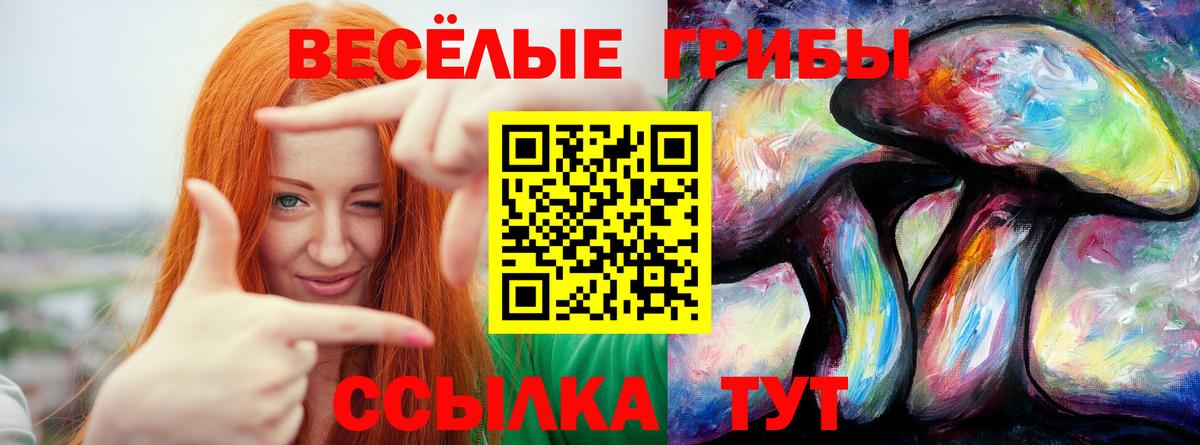 Галлюциногенные грибы MAGIC MUSHROOMS Шуя